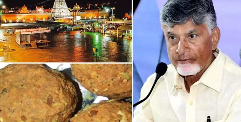 ତିରୁପତି ଲଡୁରେ ଚର୍ବି ବିବାଦ ଘଟଣାରେ ୪ ଗିରଫ; ଏବେ ଖୋଲିବ କି ଗୁମର