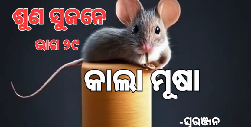 ଅନ୍ୟର କଥା ଶୁଣିବା ନା ଶୁଣିବାନି