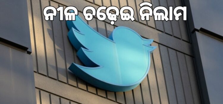 ୩୦ ଲକ୍ଷରେ ନିଲାମ ହେଲା ନୀଳ ପକ୍ଷୀ