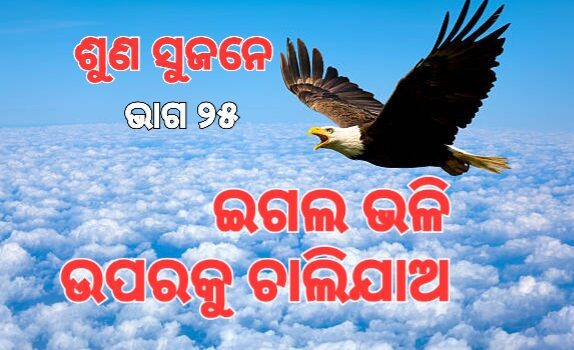 ସମସ୍ୟାର କେତେ ଉପରକୁ ଗଲେ ସଫଳତା ମିଳେ