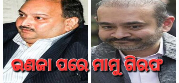 ବେଲଜିୟମରେ ମେହୁଲ ଚୋକସି ଗିରଫ