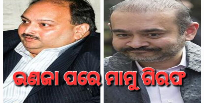 ବେଲଜିୟମରେ ମେହୁଲ ଚୋକସି ଗିରଫ