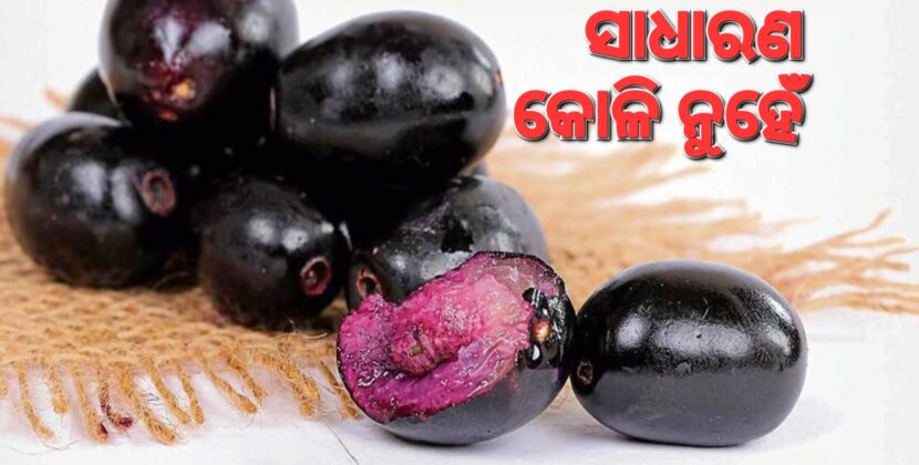 ଜୀବନ କାରକ ଜାମୁ କୋଳି, ପଢ଼ିଲେ ଜାଣିବେ ଚମତ୍କାରିତା