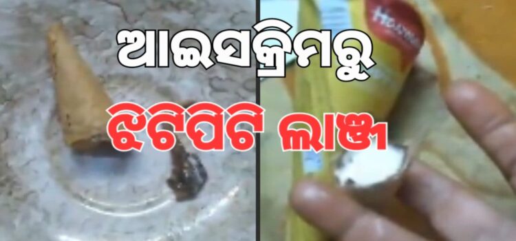 ଆଇସ୍କ୍ରିମ୍‌ରୁ ବାହାରିଲା ଝିଟିପିଟି ଲାଞ୍ଜ