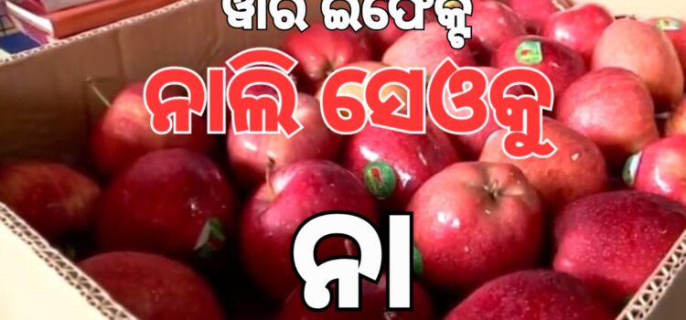 ଭାରତ ପାକିସ୍ତାନ ଉତ୍ତେଜନା ପ୍ରଭାବ: ତୁର୍କୀ ସେଓ ଭାରତରେ ବାରଣ