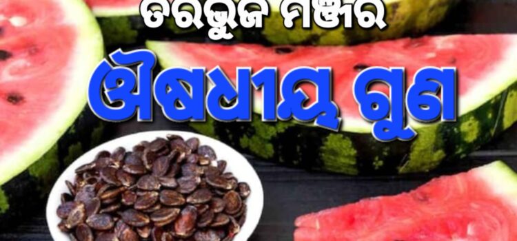 ଜାଣିଲେ ଆପଣ ବି ଫୋପାଡ଼ିବେନି ତରଭୁଜ ମଞ୍ଜି