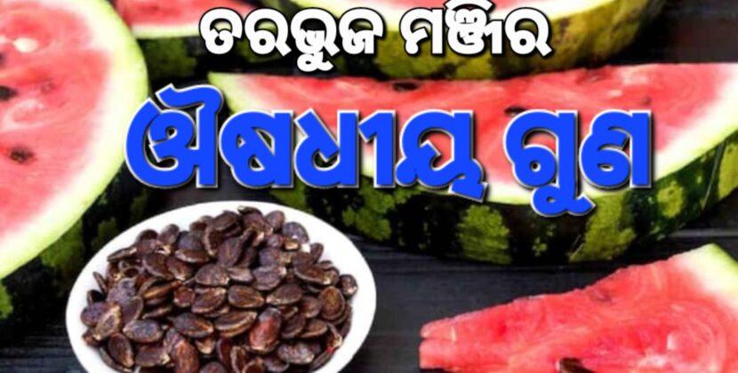 ଜାଣିଲେ ଆପଣ ବି ଫୋପାଡ଼ିବେନି ତରଭୁଜ ମଞ୍ଜି