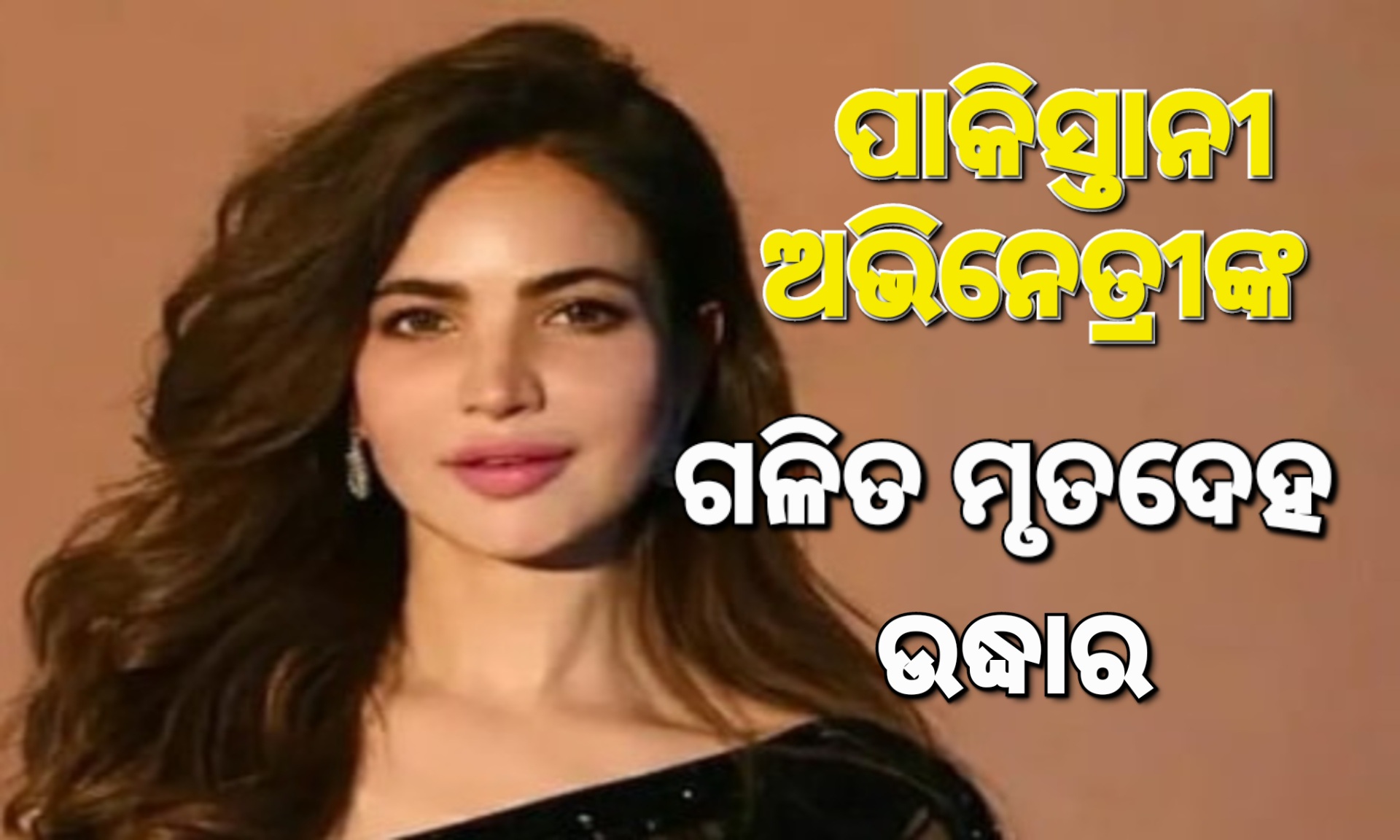 ବନ୍ଦ କୋଠରିରୁ ମିଳିଲା ପାକ୍‌ ଅଭିନେତ୍ରୀଙ୍କ ମୃତଦେହ