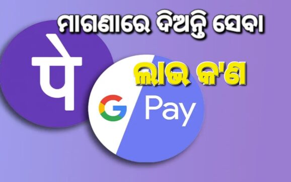 ଫୋନ୍‌ ପେ’, ଗୁଗଲ ପେ’ର ଆୟ ୫ ହଜାର କୋଟି