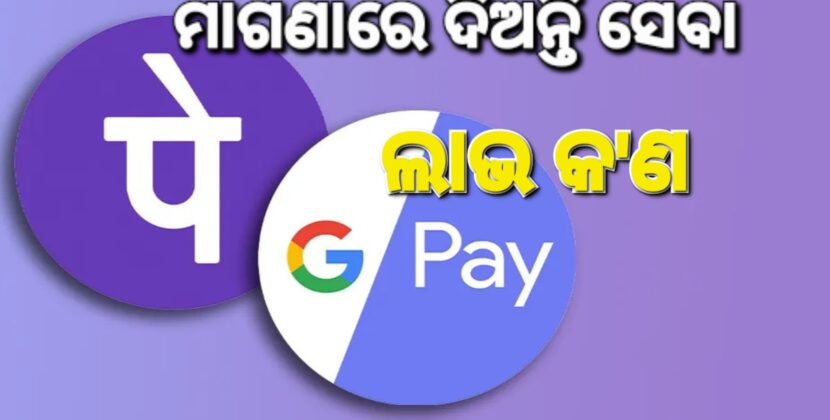 ଫୋନ୍‌ ପେ’, ଗୁଗଲ ପେ’ର ଆୟ ୫ ହଜାର କୋଟି