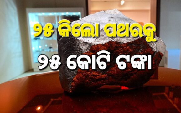 ୨୫ କିଲୋ ପଥରକୁ ୨୪ କୋଟି ଟଙ୍କା