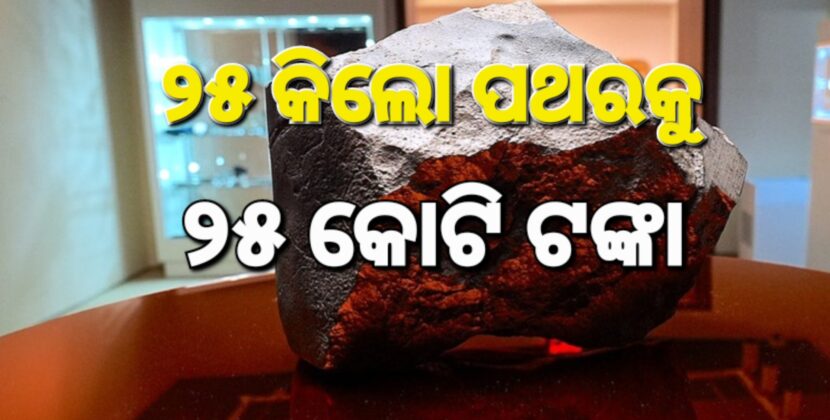 ୨୫ କିଲୋ ପଥରକୁ ୨୪ କୋଟି ଟଙ୍କା