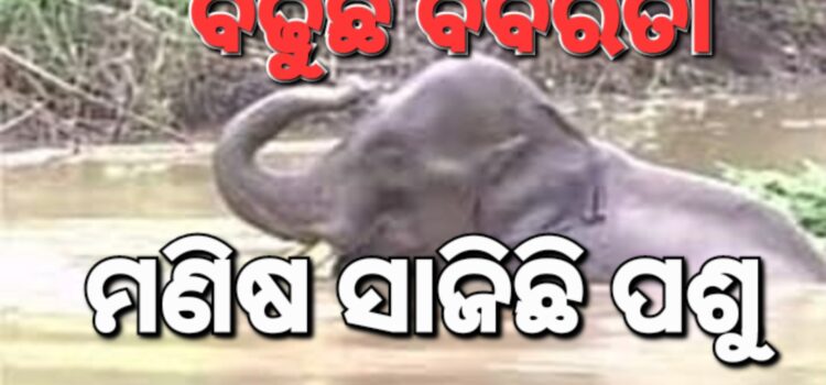 ବନ୍ୟାରେ ଭାସି ଯାଉଥିବା ହାତୀକୁ ନିଆଁ ପକାଇଲେ ଲୋକେ