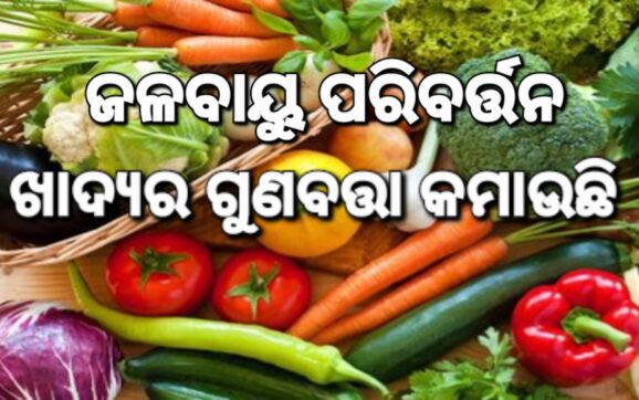 ଖାଦ୍ୟର ଗୁଣବତ୍ତା ହ୍ରାସ ପଛରେ ଜଳବାୟୁ ପରିବର୍ତ୍ତନ