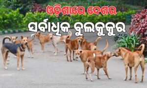 ଓଡ଼ିଶା ଅଛନ୍ତି ୧୮ ଲକ୍ଷ ବୁଲାକୁକୁର
